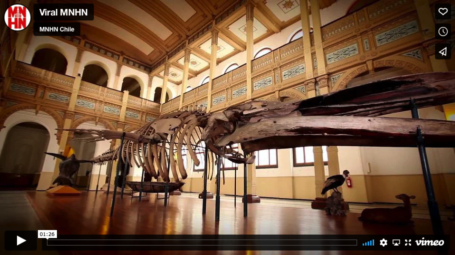 Vídeo viral para el  Museo Nacional de Historia Natural